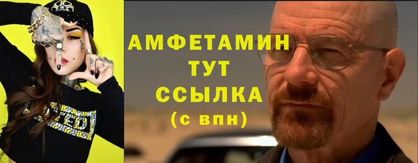 сатива Гусев