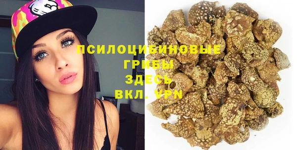 сатива Гусев