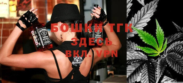 сатива Гусев