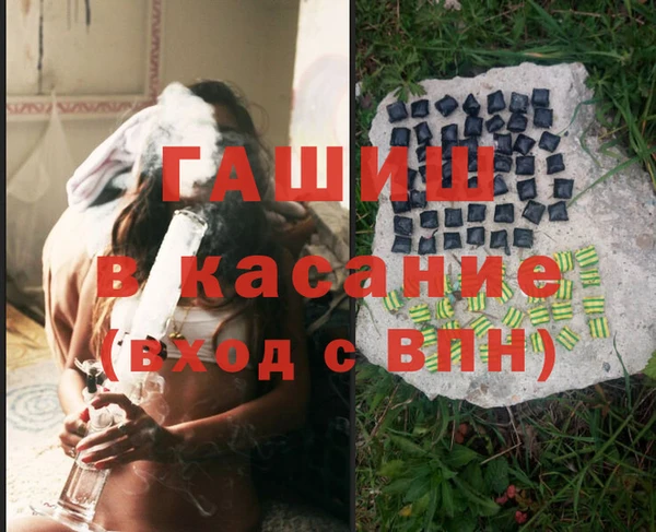 сатива Гусев